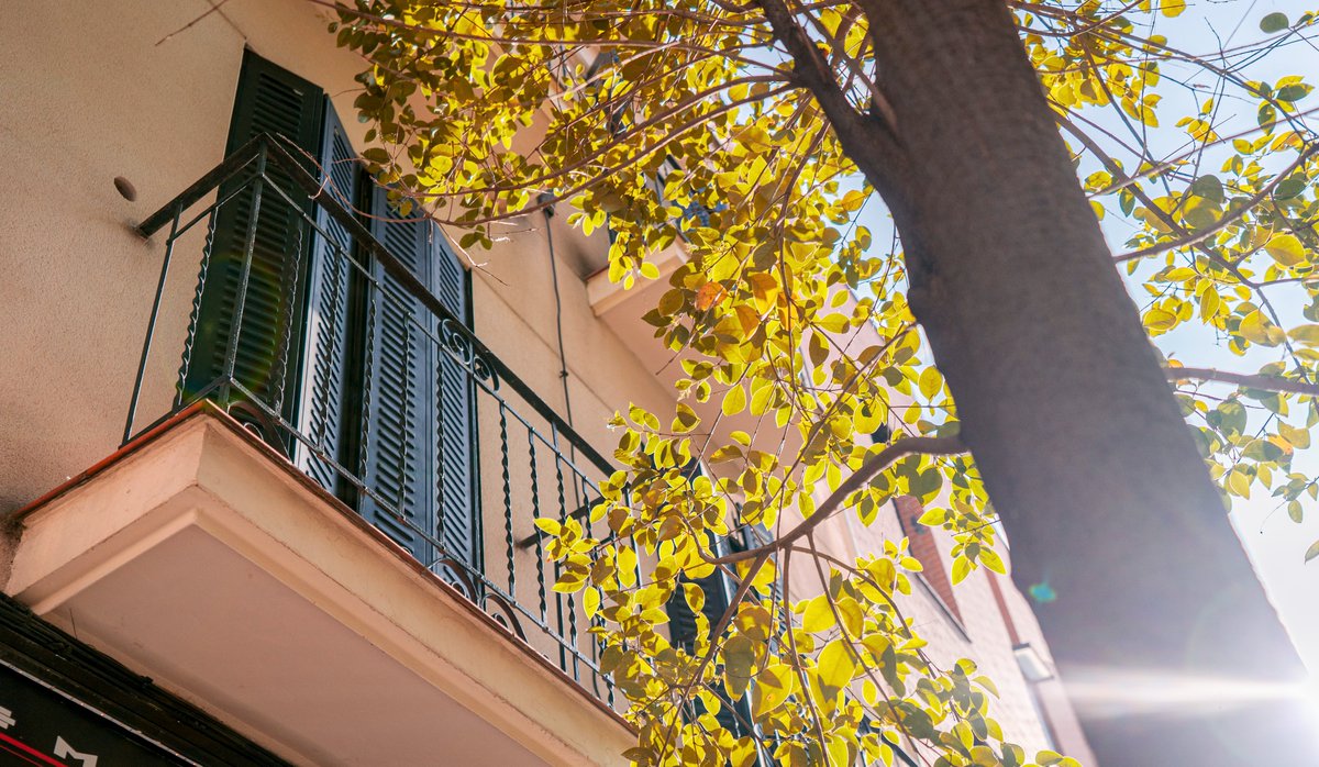 AMUZIproductions tweet media