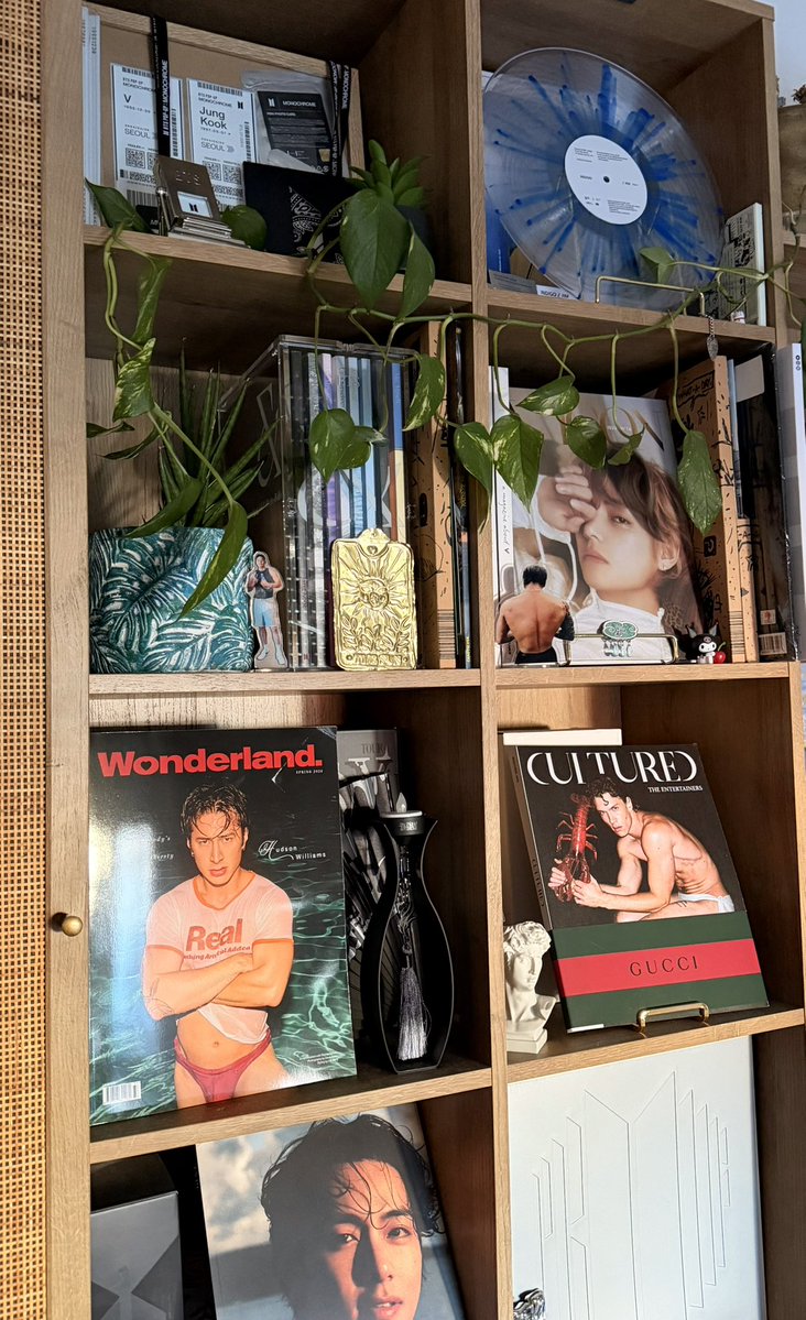 oc ❀ 🪭 ⋆˙⟡ tweet media