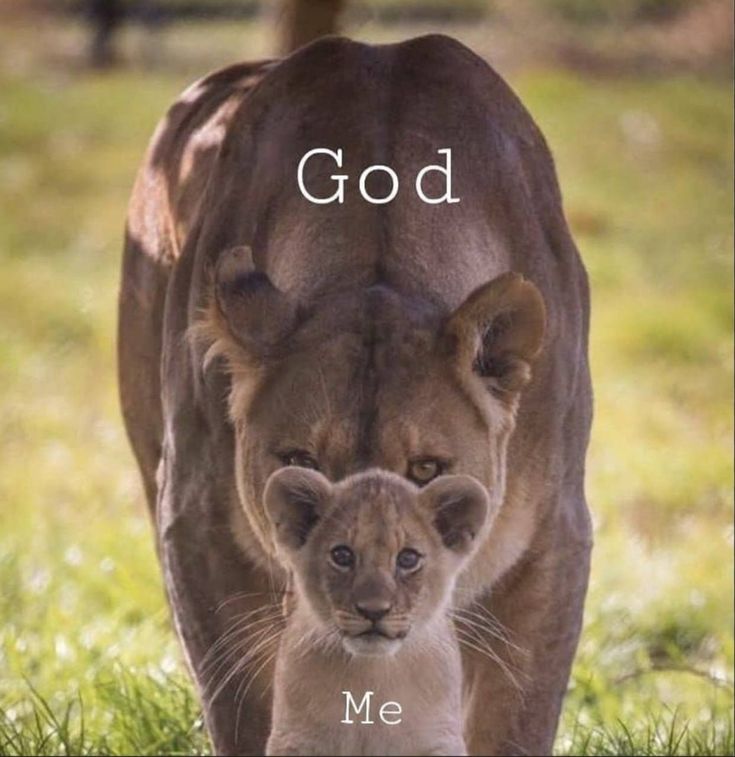 Dear God tweet media