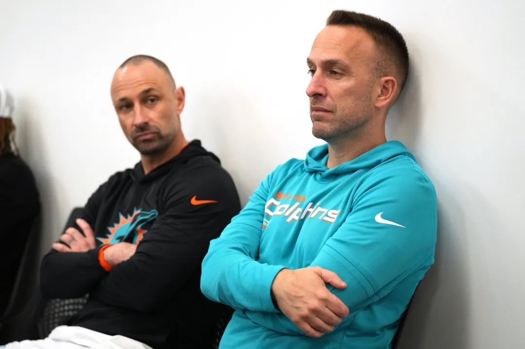 Dolphins Muse tweet media