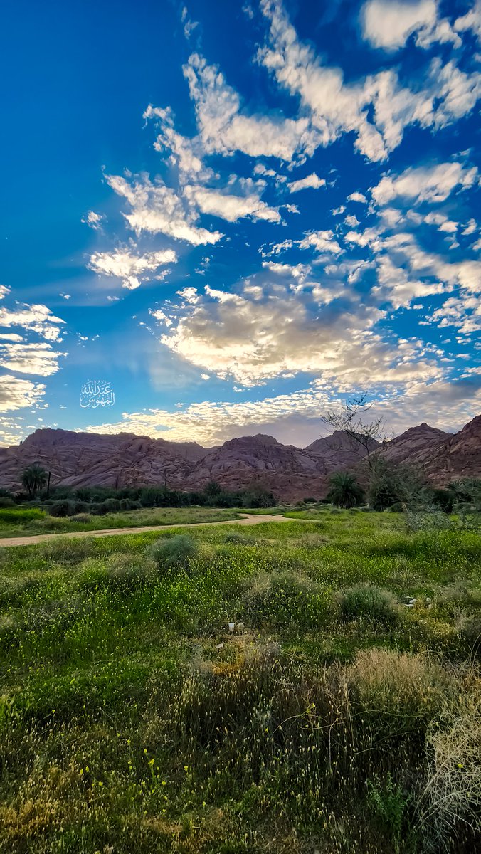 🥈عبدالله المهوّس 📸 tweet media