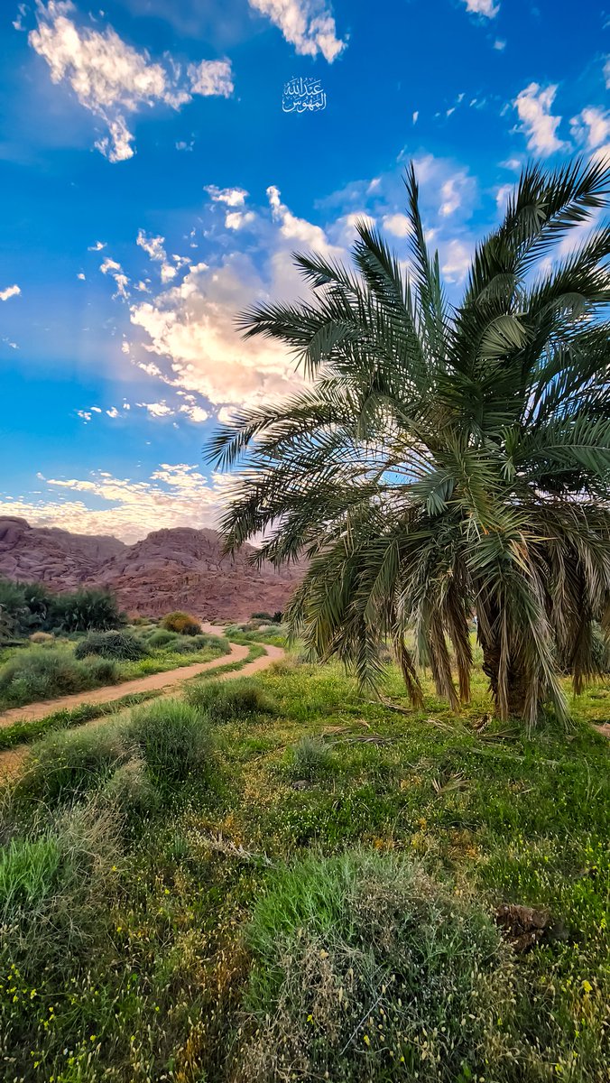 🥈عبدالله المهوّس 📸 tweet media