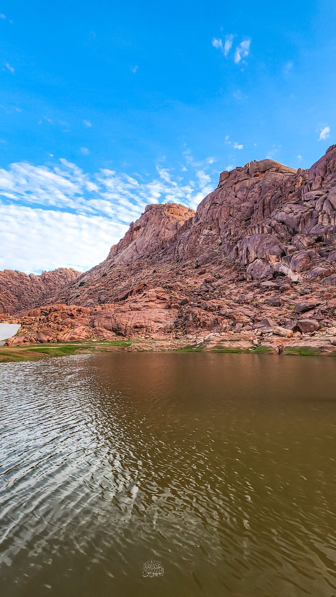 🥈عبدالله المهوّس 📸 tweet media