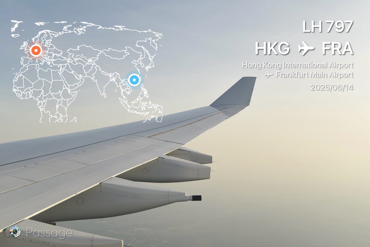 Springbok tweet media