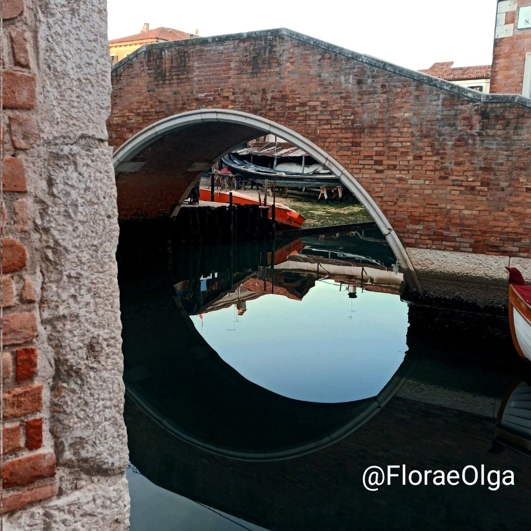 Flora e Olga 🏳 tweet media