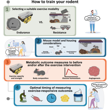 Cell Metabolism tweet media