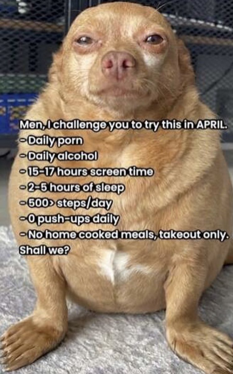 Nonstopstevie tweet media