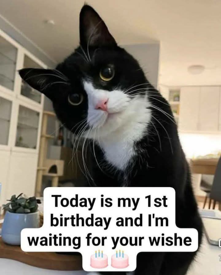 Kristina Bolten tweet media