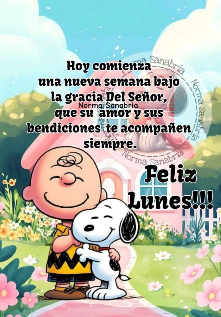 Aᥣᥱx Cᥲstro Cᥲbrᥱrᥲ tweet media