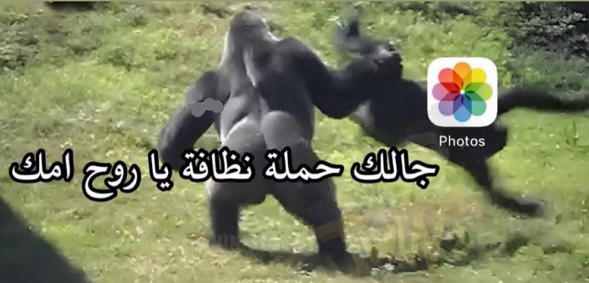 اذا خلص النت