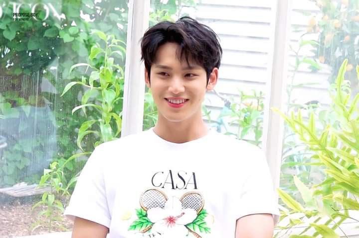 Cacha. mingyu au📌 tweet media