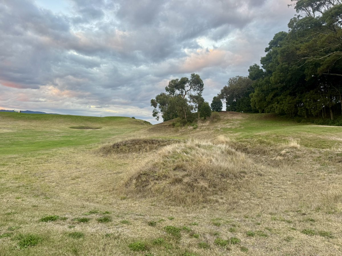 BunkersB's tweet photo. Bunkers …that were bunkers. Love discovering lost treasure and for the main part, Nelson Golf Club today had a few retired gems, I’d have kept those bunkers in the first pic and cleared those trees. https://t.co/drL3ssbrT5