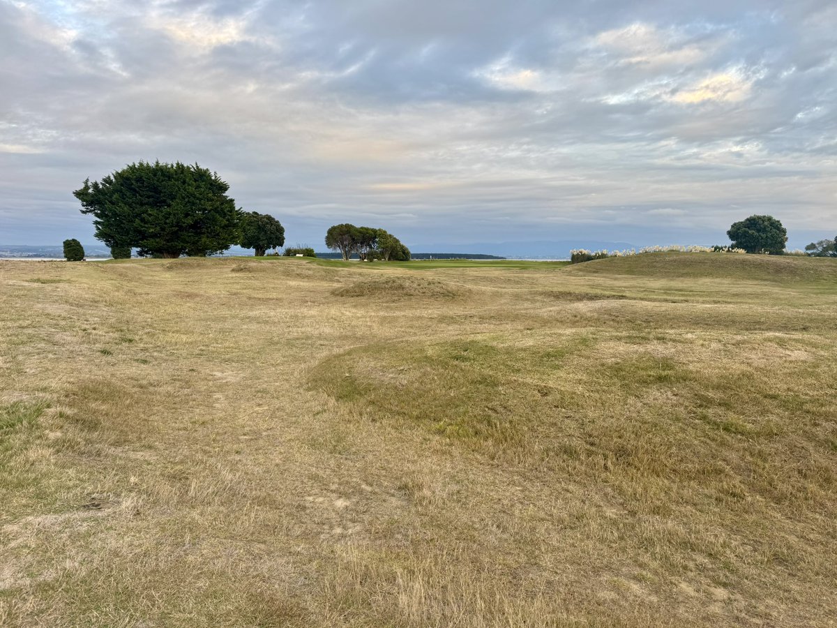 BunkersB's tweet photo. Bunkers …that were bunkers. Love discovering lost treasure and for the main part, Nelson Golf Club today had a few retired gems, I’d have kept those bunkers in the first pic and cleared those trees. https://t.co/drL3ssbrT5