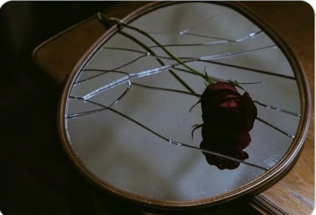 sâye... tweet media