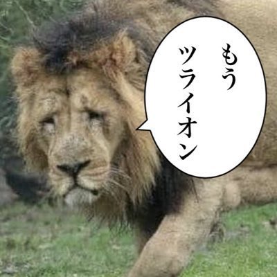 みんなの俺ω'✌︎ ) tweet media