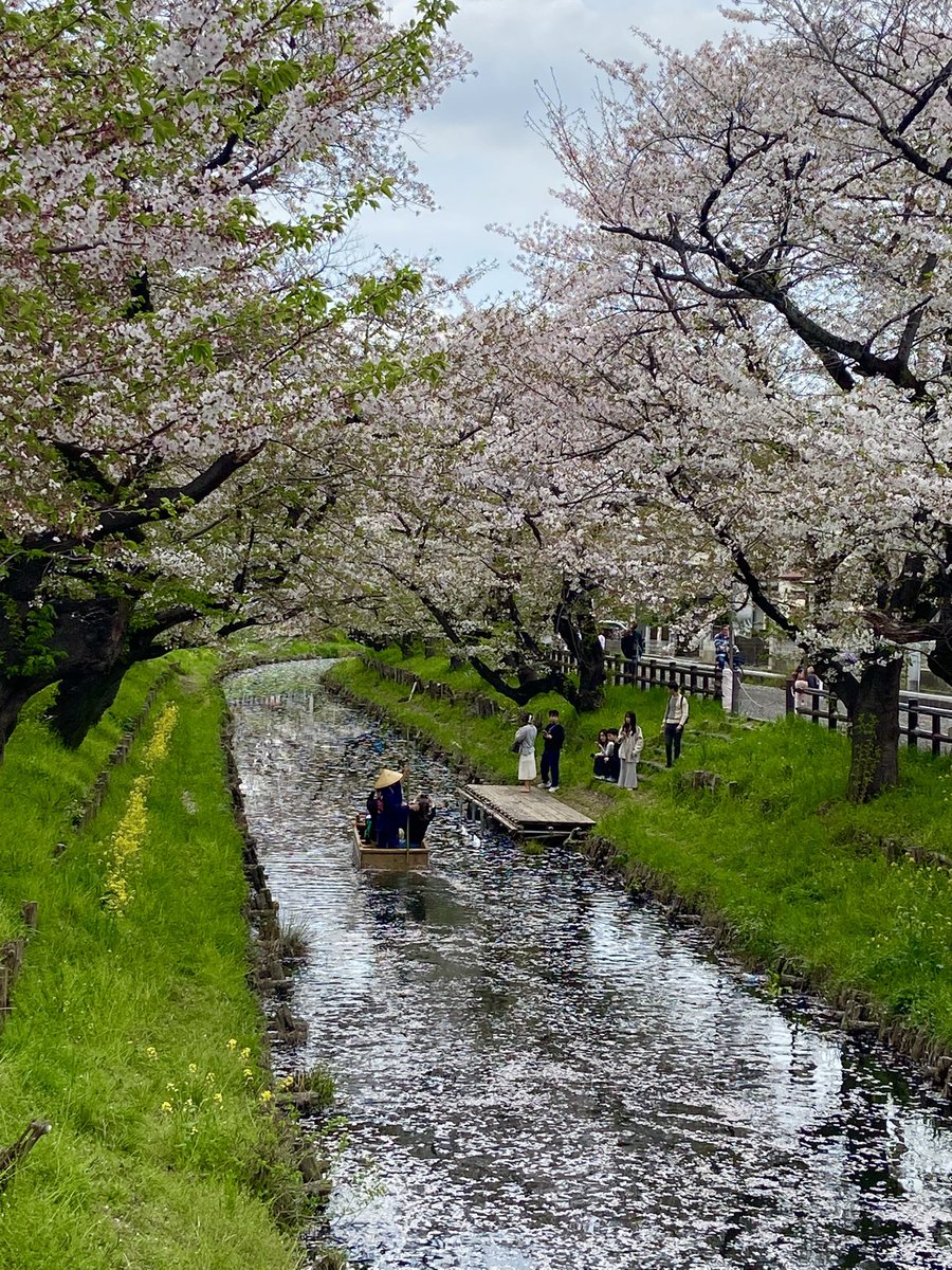 Miyuki Okano tweet media