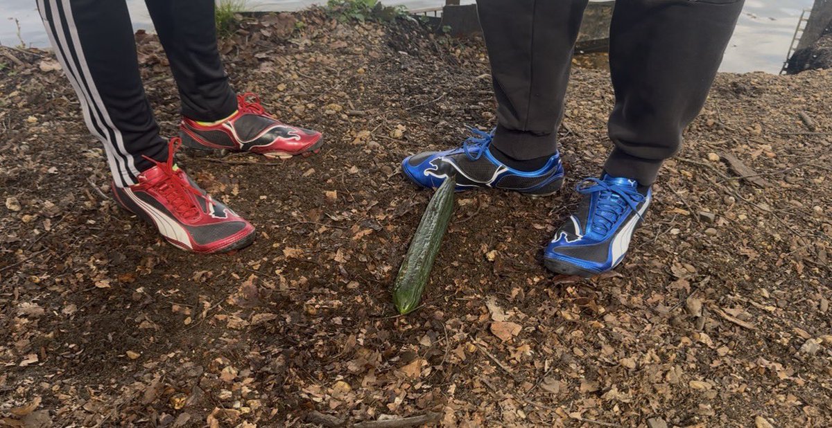 StompingSneakers tweet media