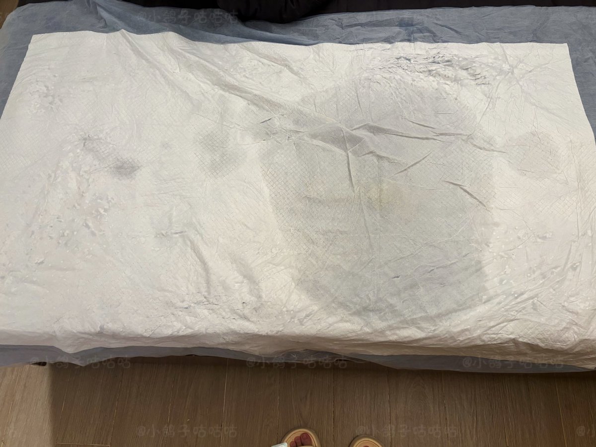 小鸽子咕咕咕（这个才是大号！） tweet media