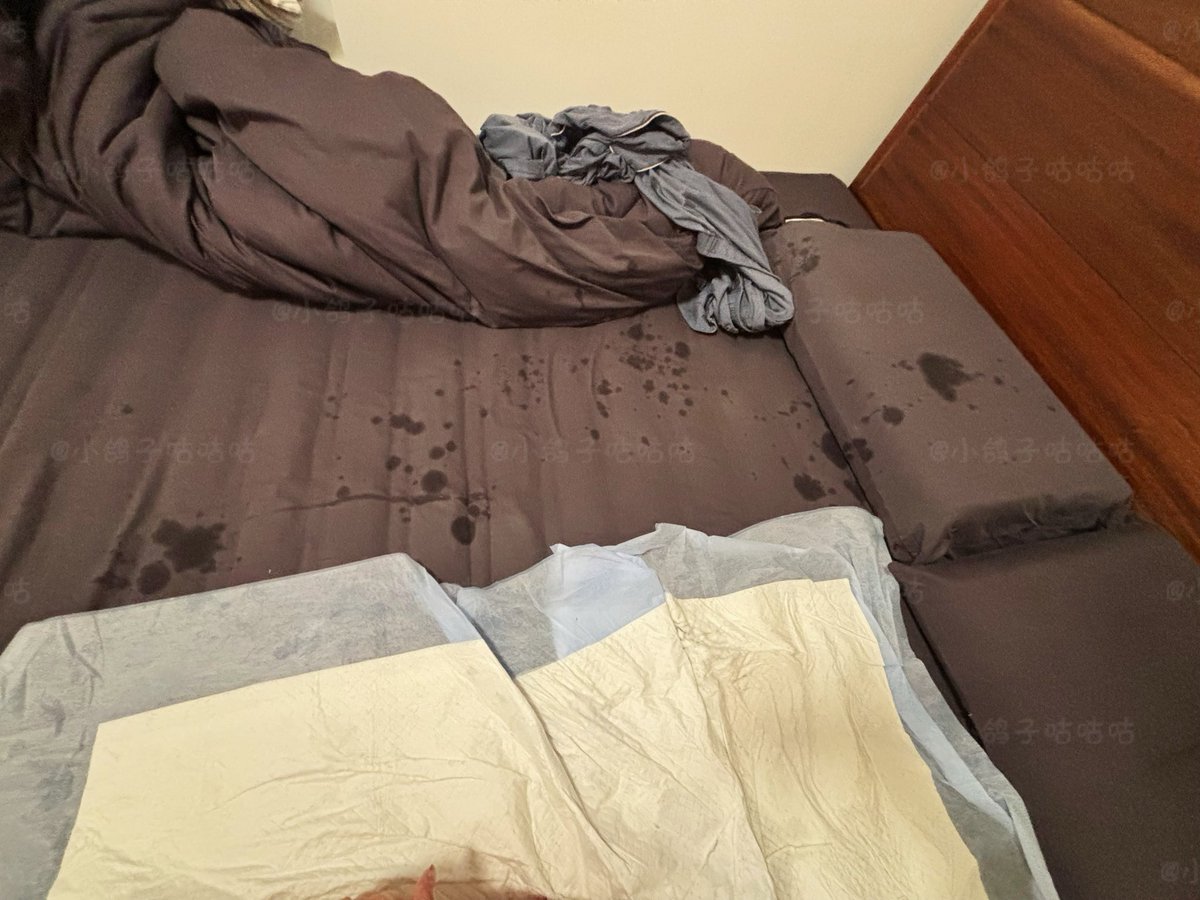 小鸽子咕咕咕（这个才是大号！） tweet media