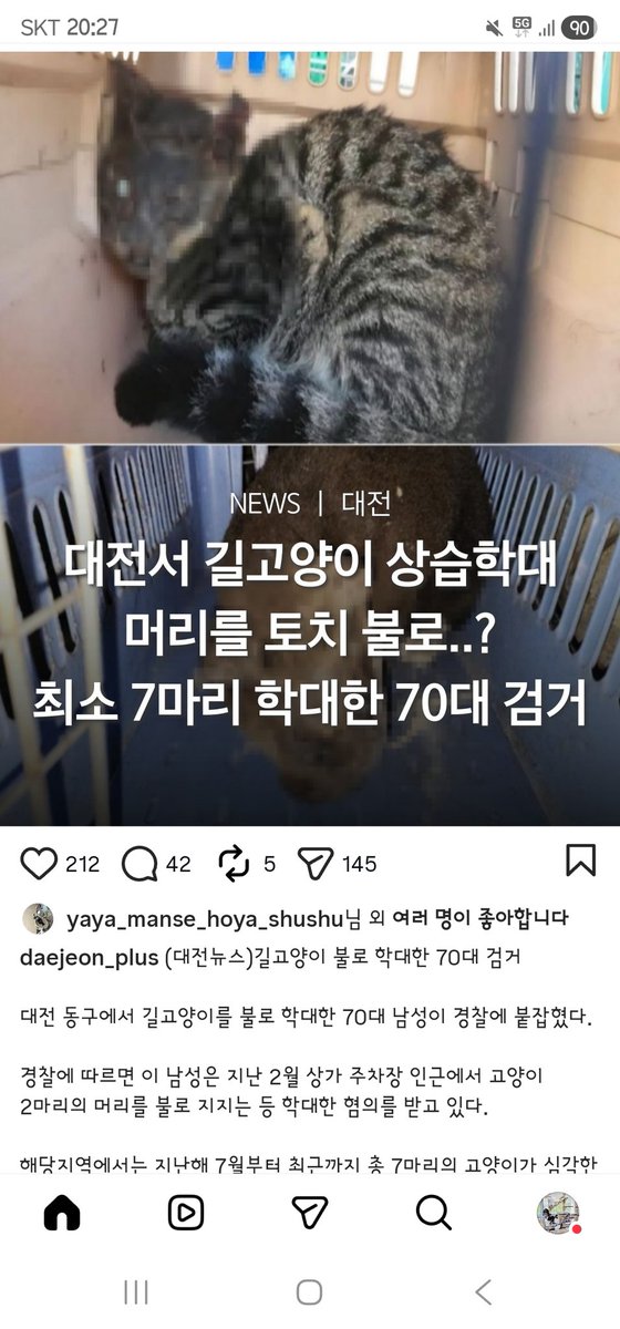 하나와애옹 tweet media