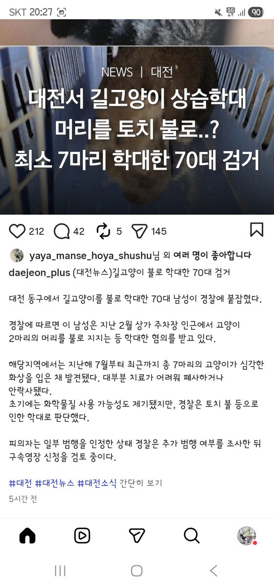 하나와애옹 tweet media