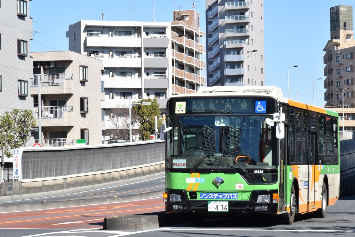 エコー tweet media