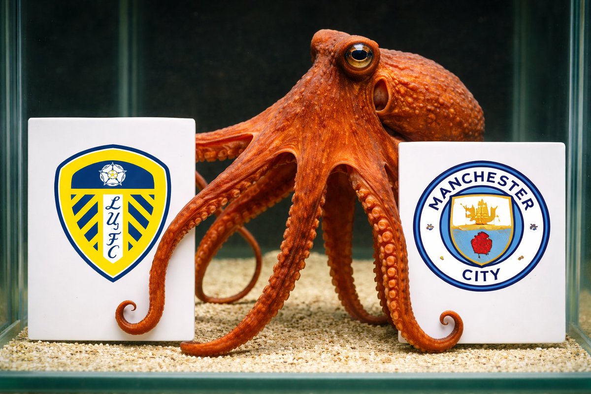 TheEuropeanLad tweet media