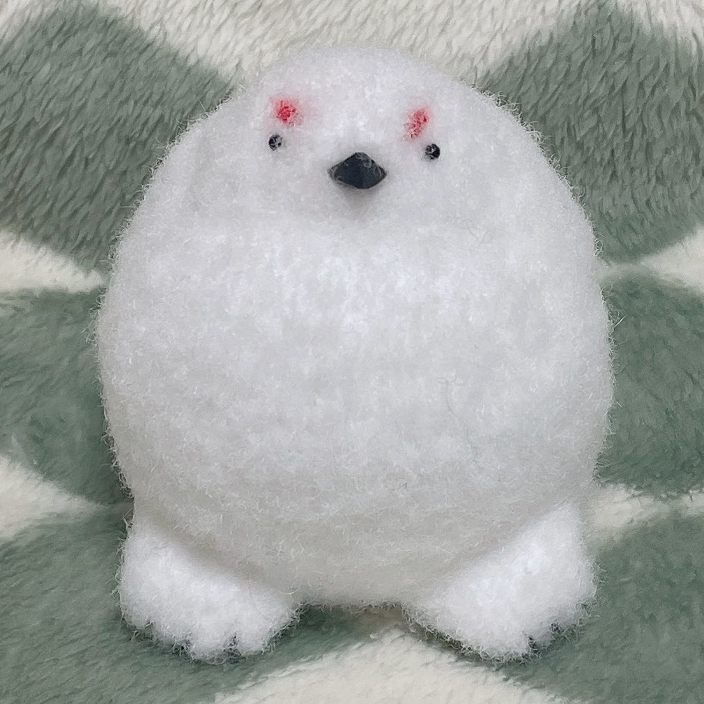 전뜨백🧶 tweet media