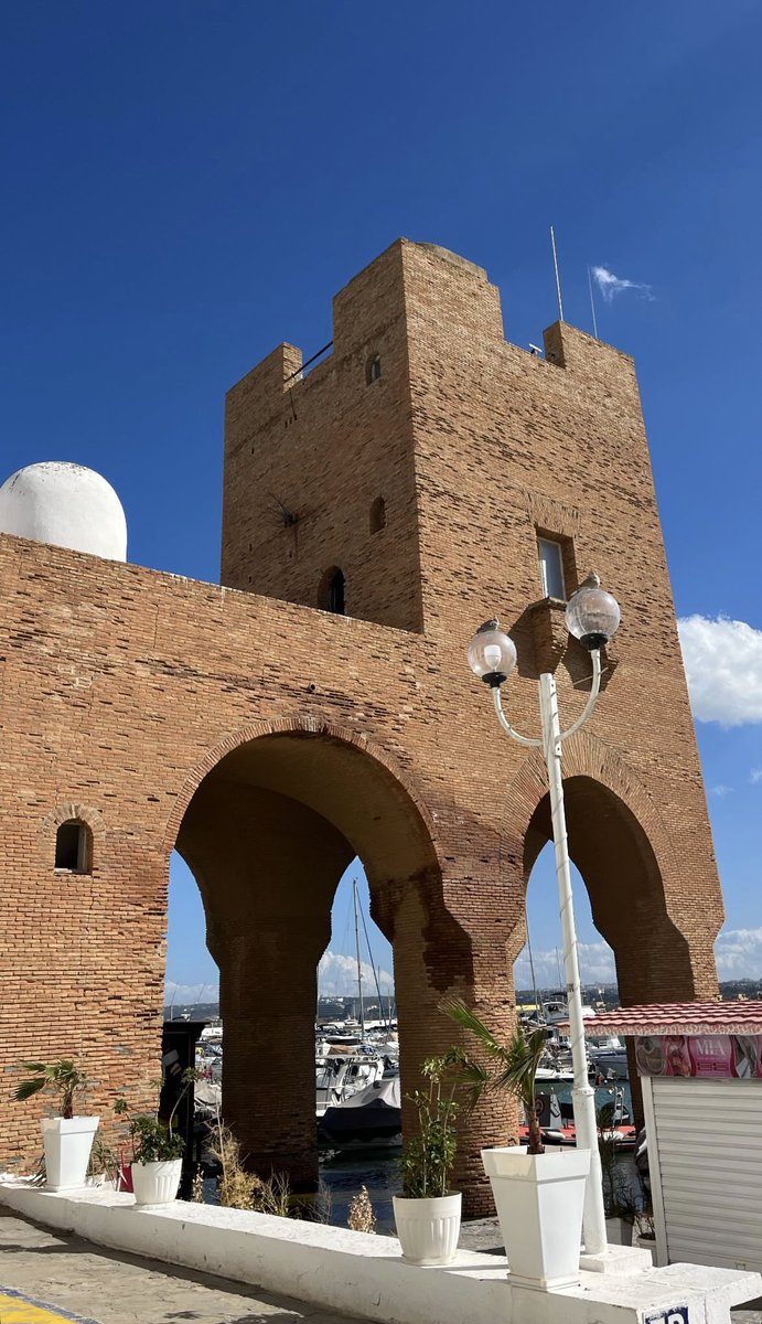 Hadjer ⵣ tweet media