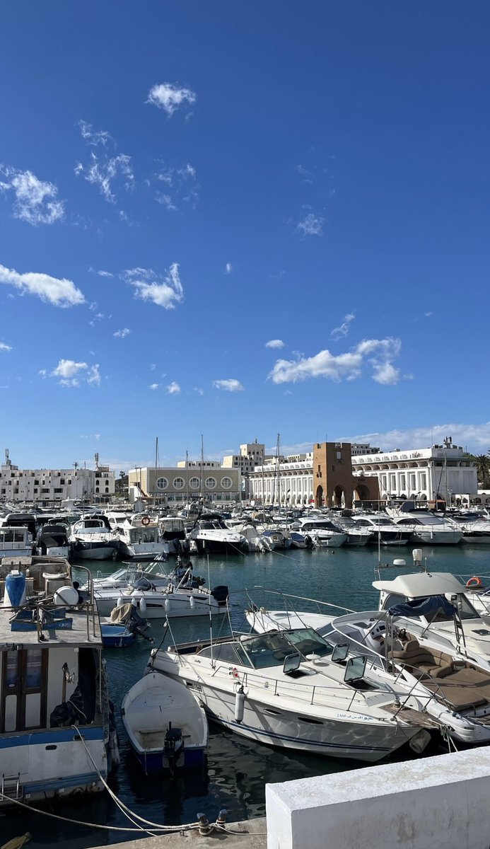 Hadjer ⵣ tweet media