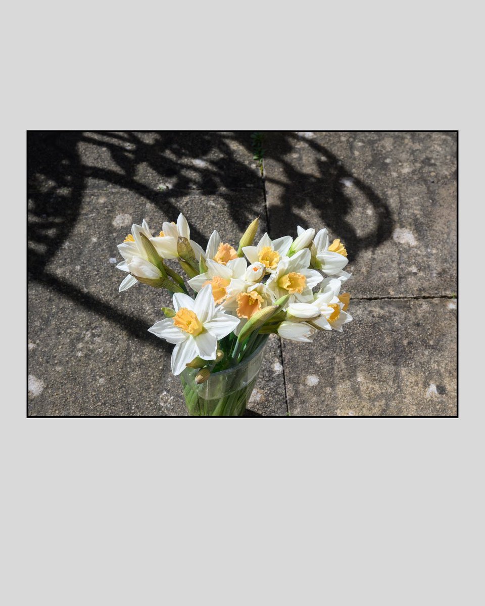 Stephen Moore tweet media