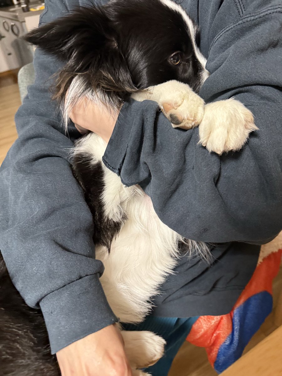 mai ろでぃ&ありす tweet media