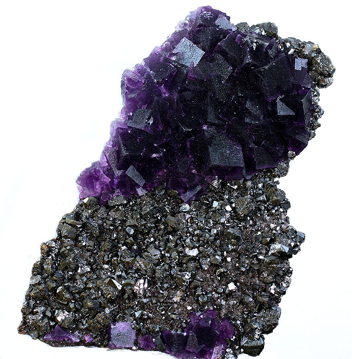 occultbot tweet media