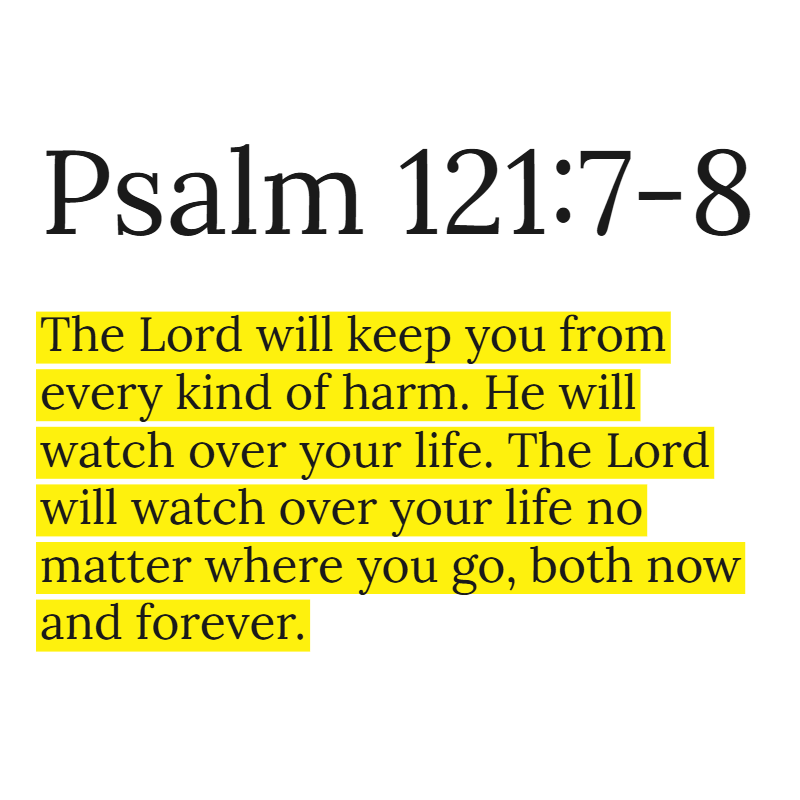 Holy Bible tweet media