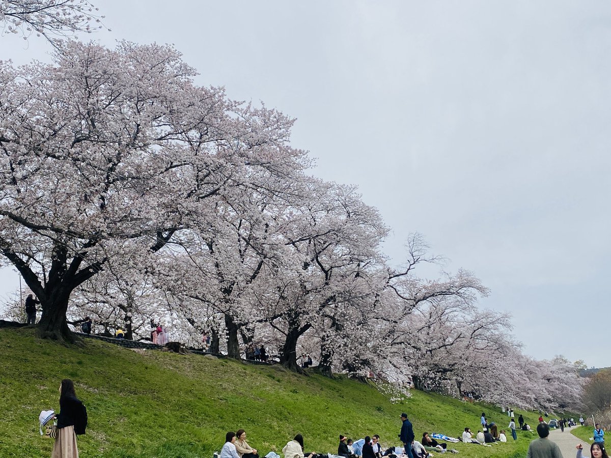 アンバランス黒川忠文 tweet media