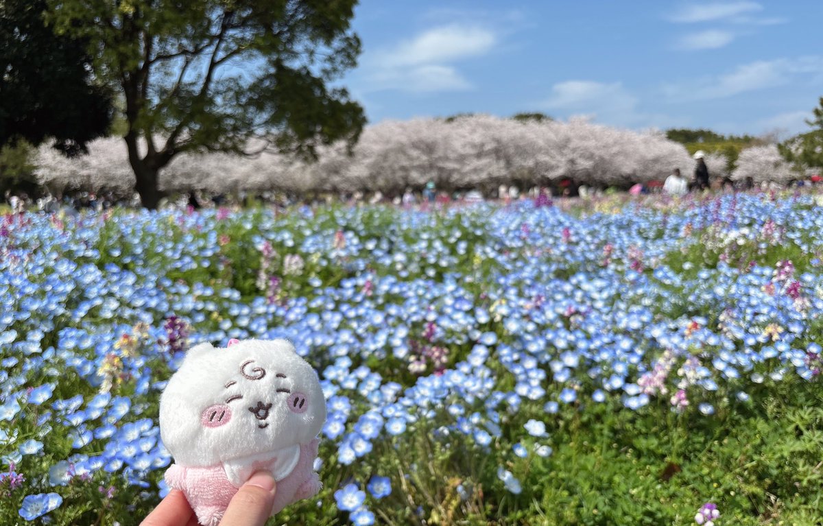 たんにゃん tweet media