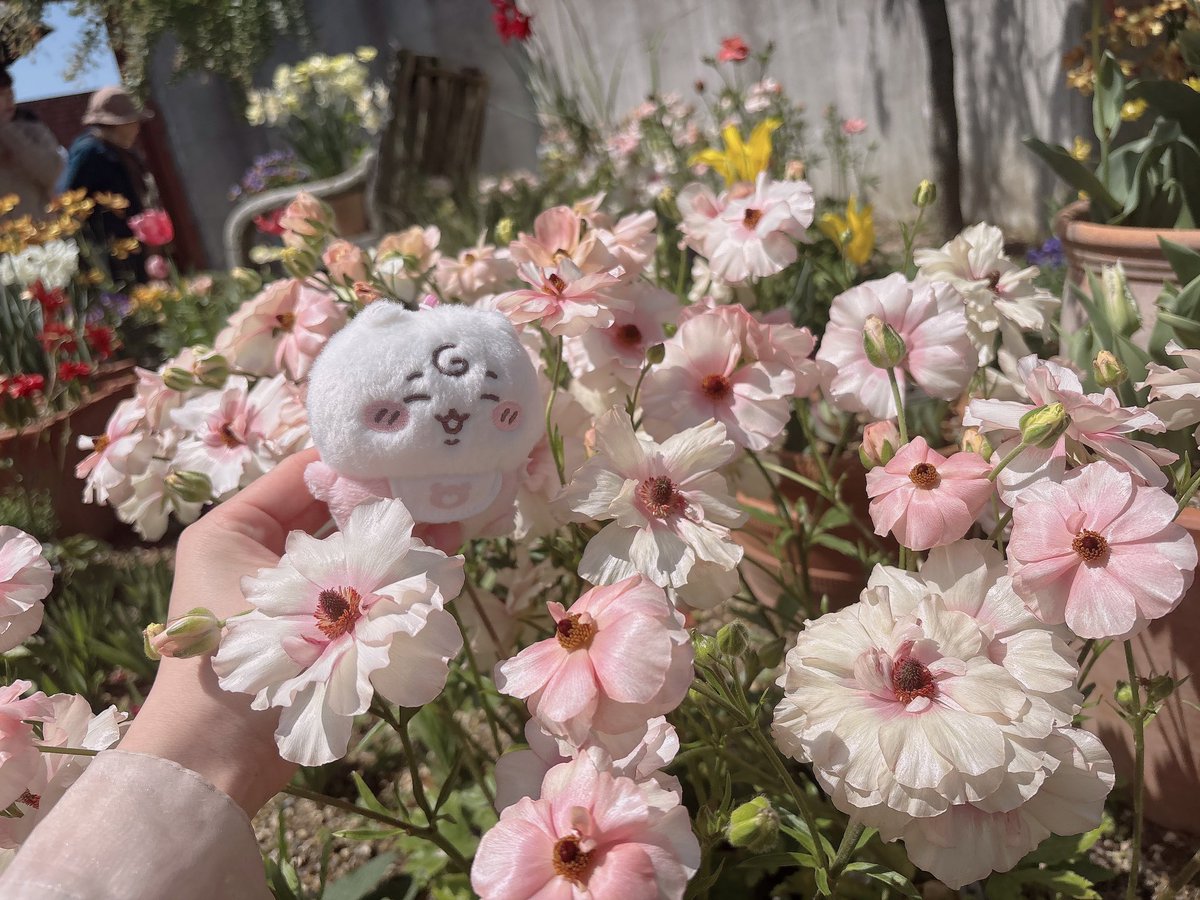 たんにゃん tweet media