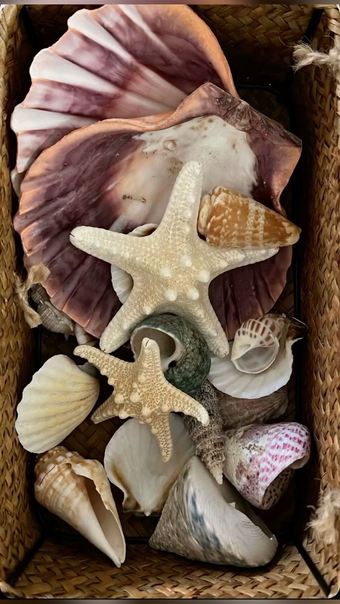 landspace tweet media