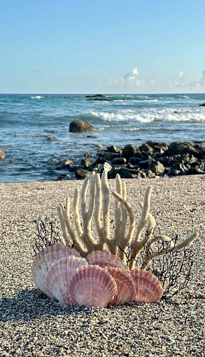 landspace tweet media