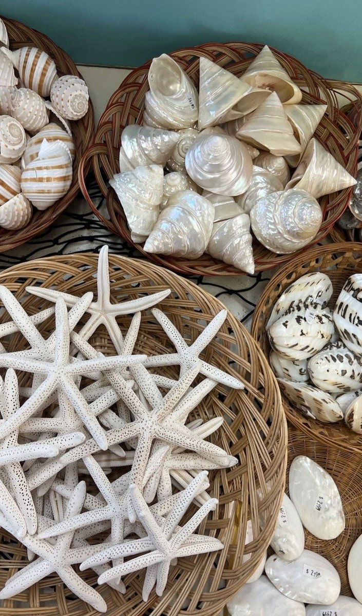 landspace tweet media