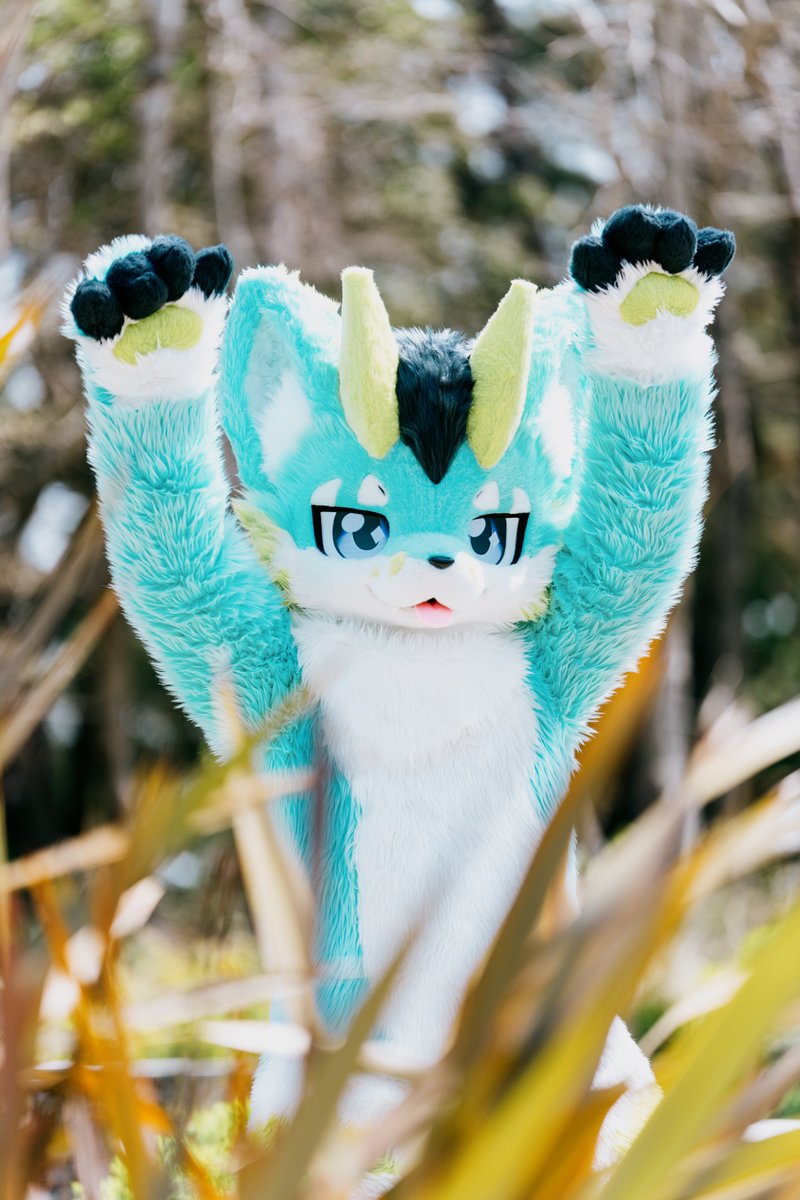 やーさん📸🐶🐉ジーラン tweet media