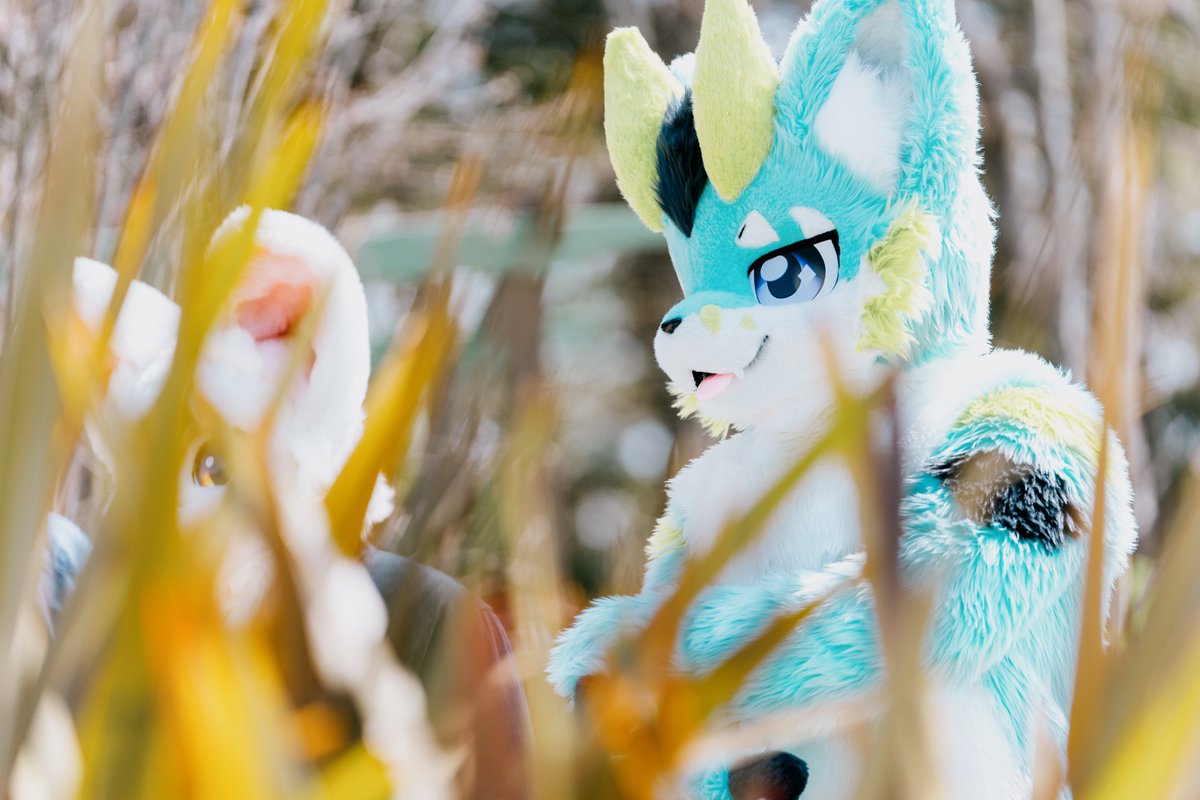 やーさん📸🐶🐉ジーラン tweet media