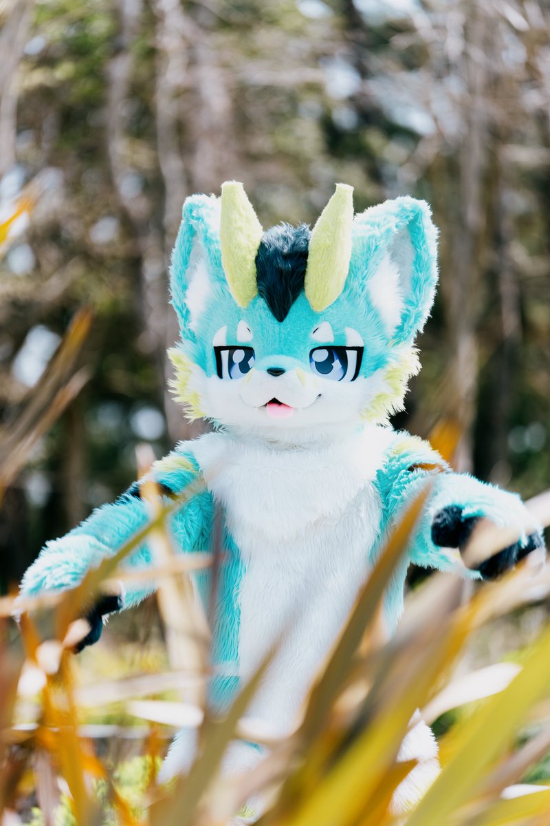 やーさん📸🐶🐉ジーラン tweet media