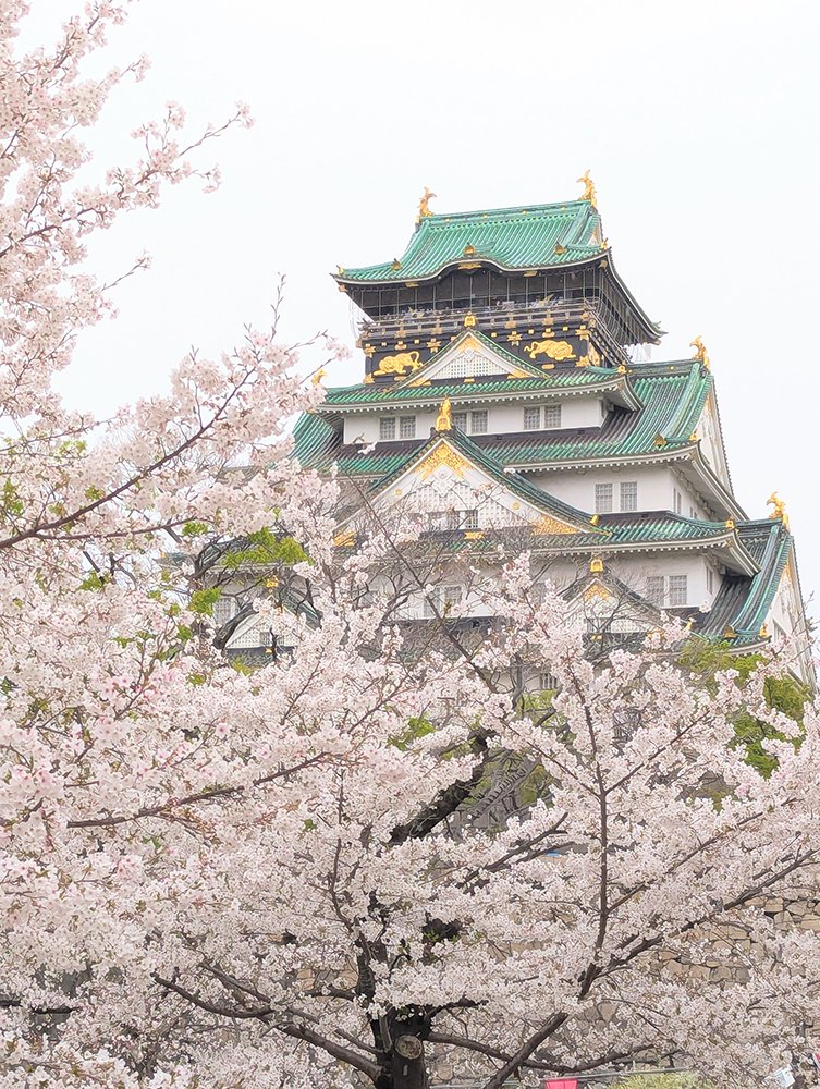 竹内基 tweet media