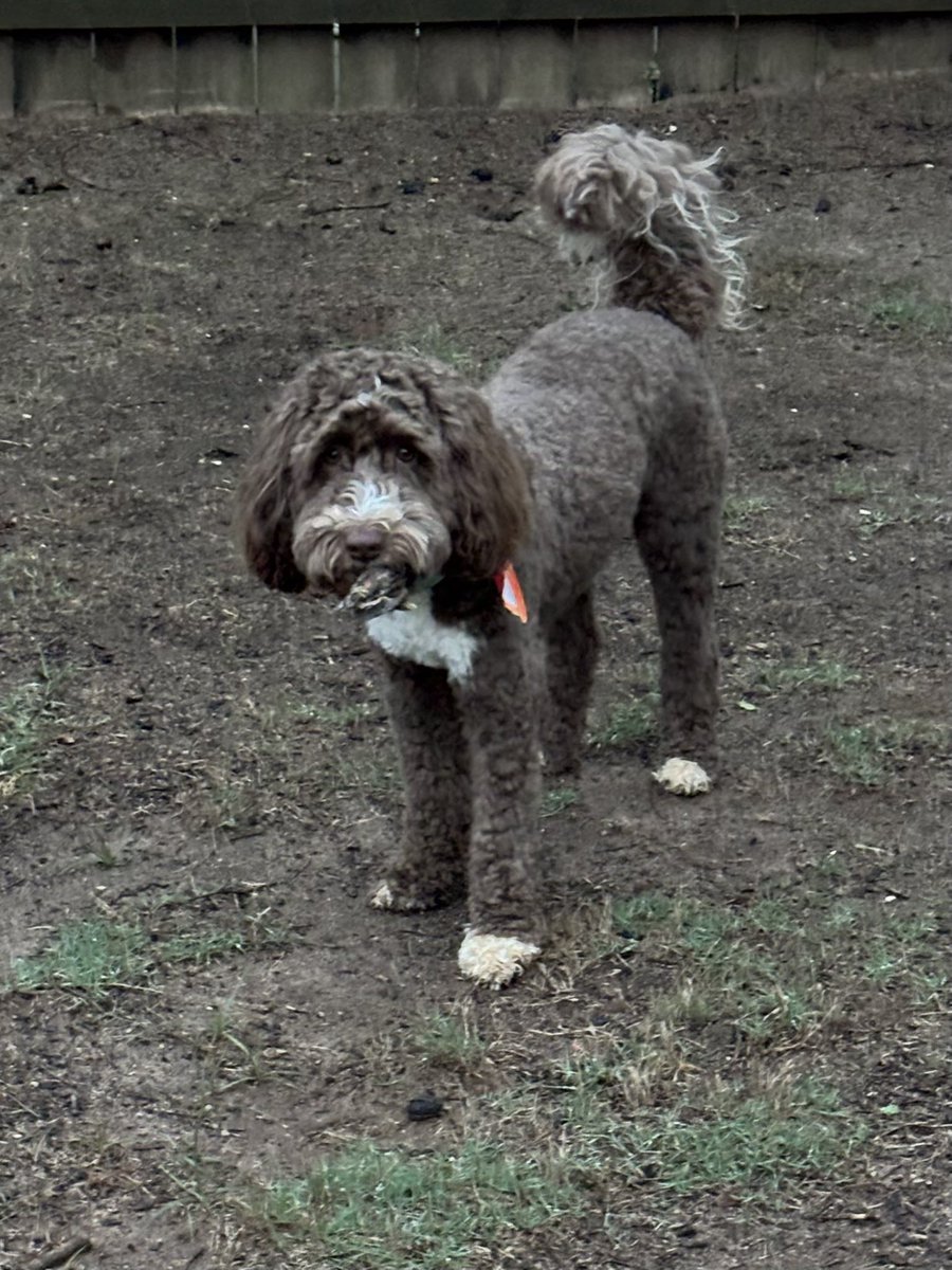 Wes Rhodes tweet media