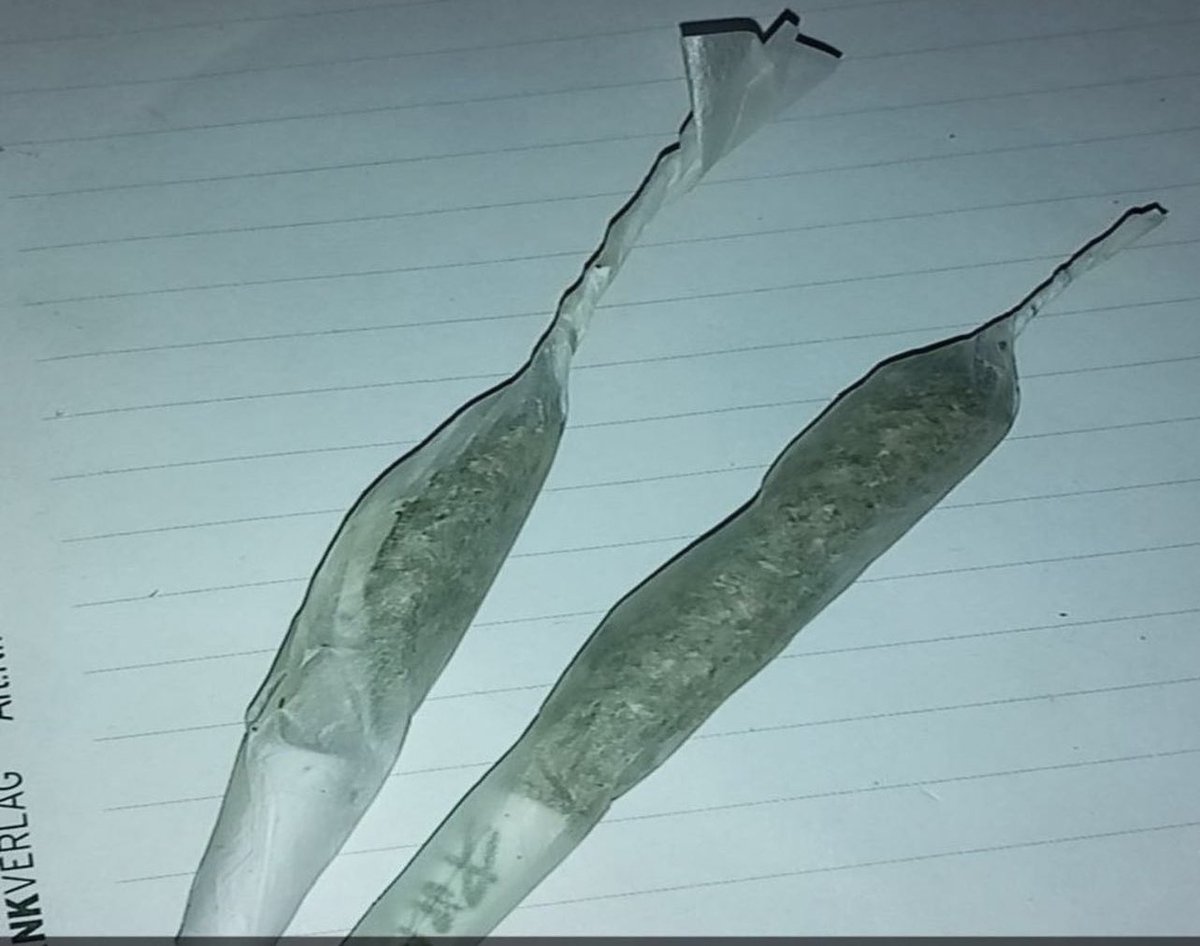 TuNichtGut 🕊🍉 tweet media