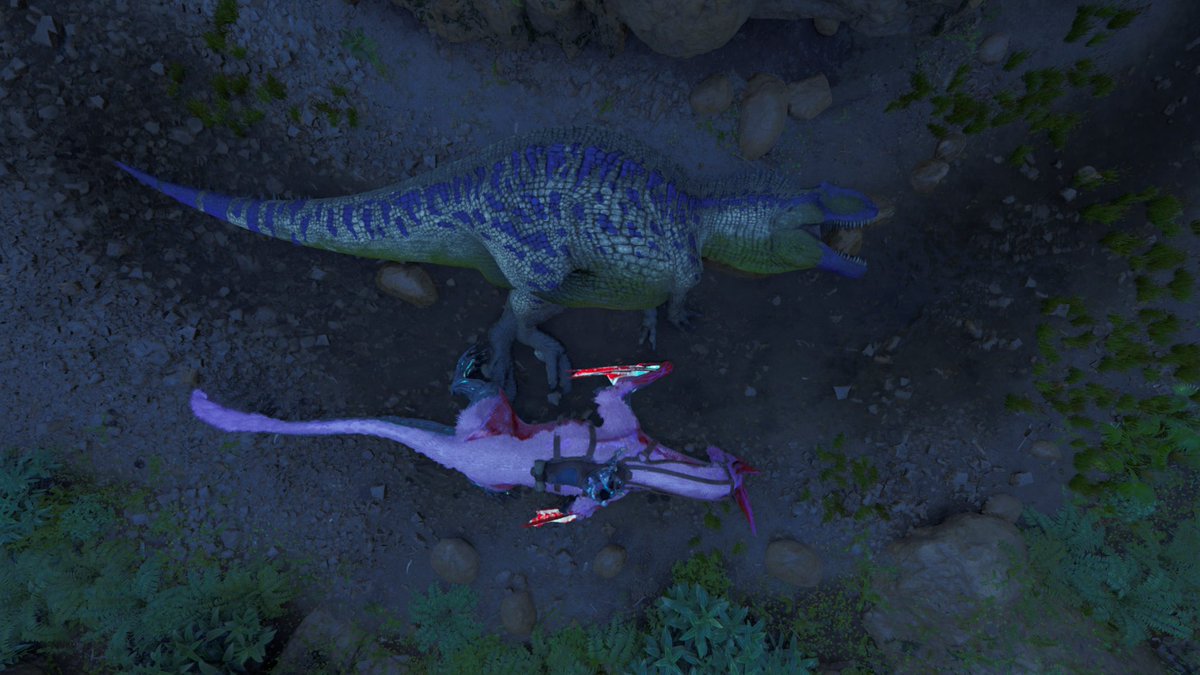 方舟 Mitchell.O tweet media