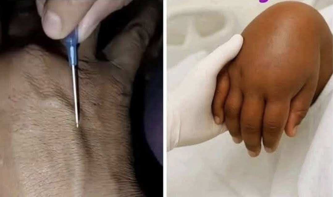 𝕎𝕋𝔽 𝔾𝕌𝕐 tweet media