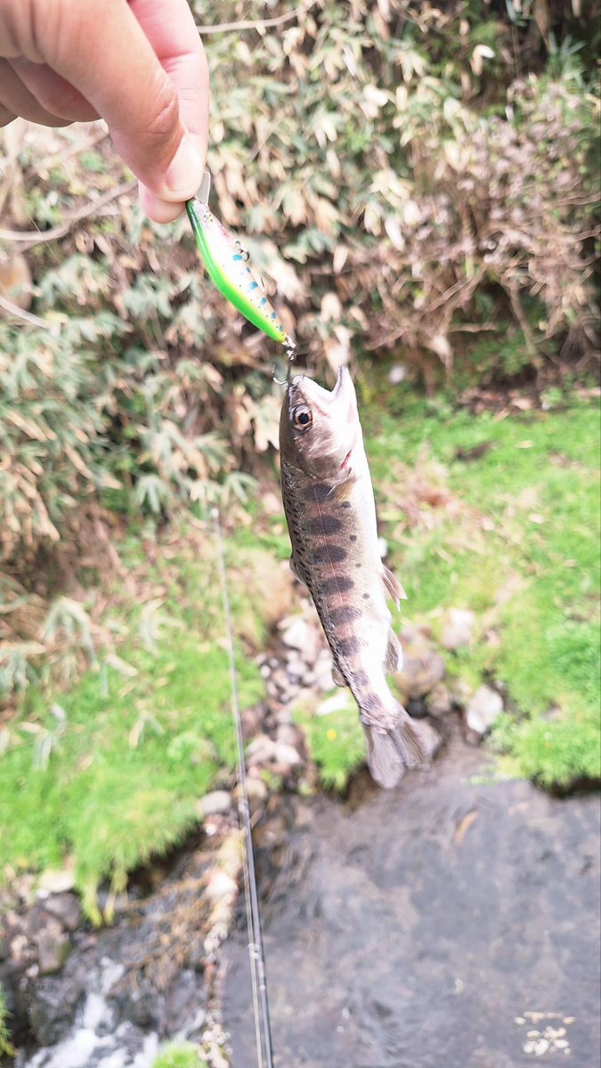 しゅう@釣りとジムニー🤯 tweet media