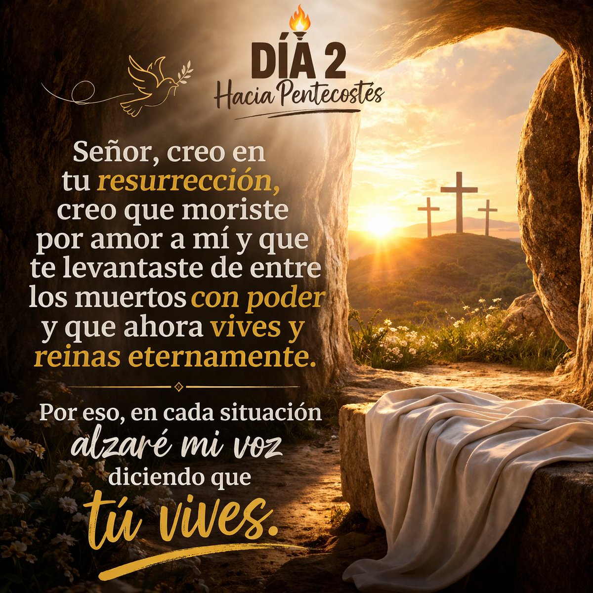 Oscar Antonio Gomez (@oscarantoniogo9) on Twitter photo 